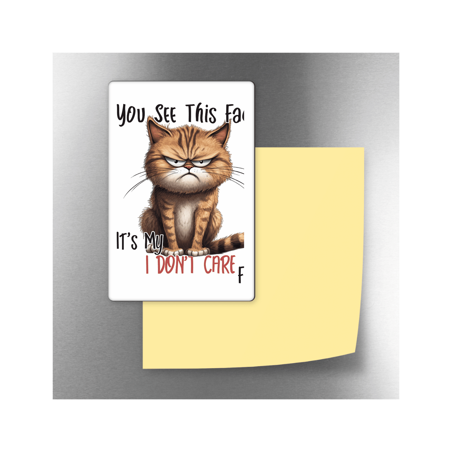 I Don’t Care Face Decorative 4x3 Magnet