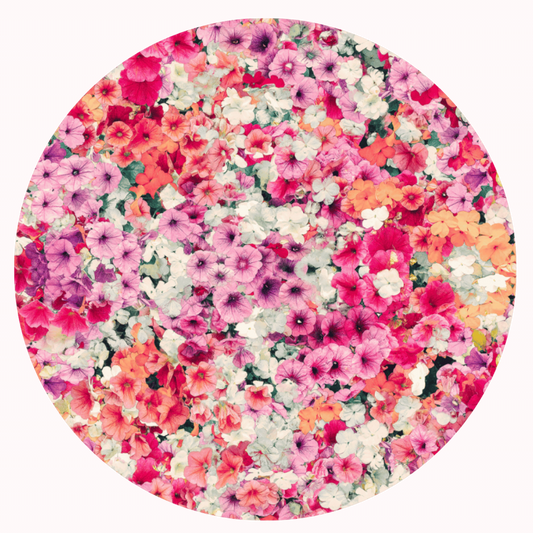 Tiny Flowers Car Coaster Set