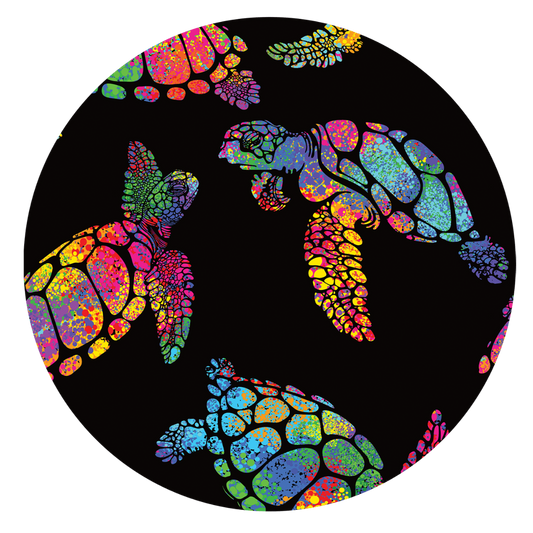 Sea Turtle Car Coaster Set