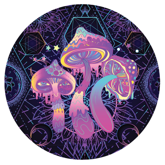 Mushrooms Car Coaster Set