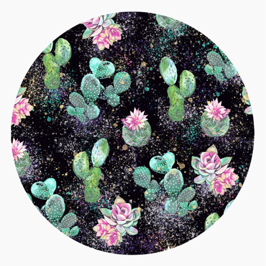 Succulents Car Coaster Set